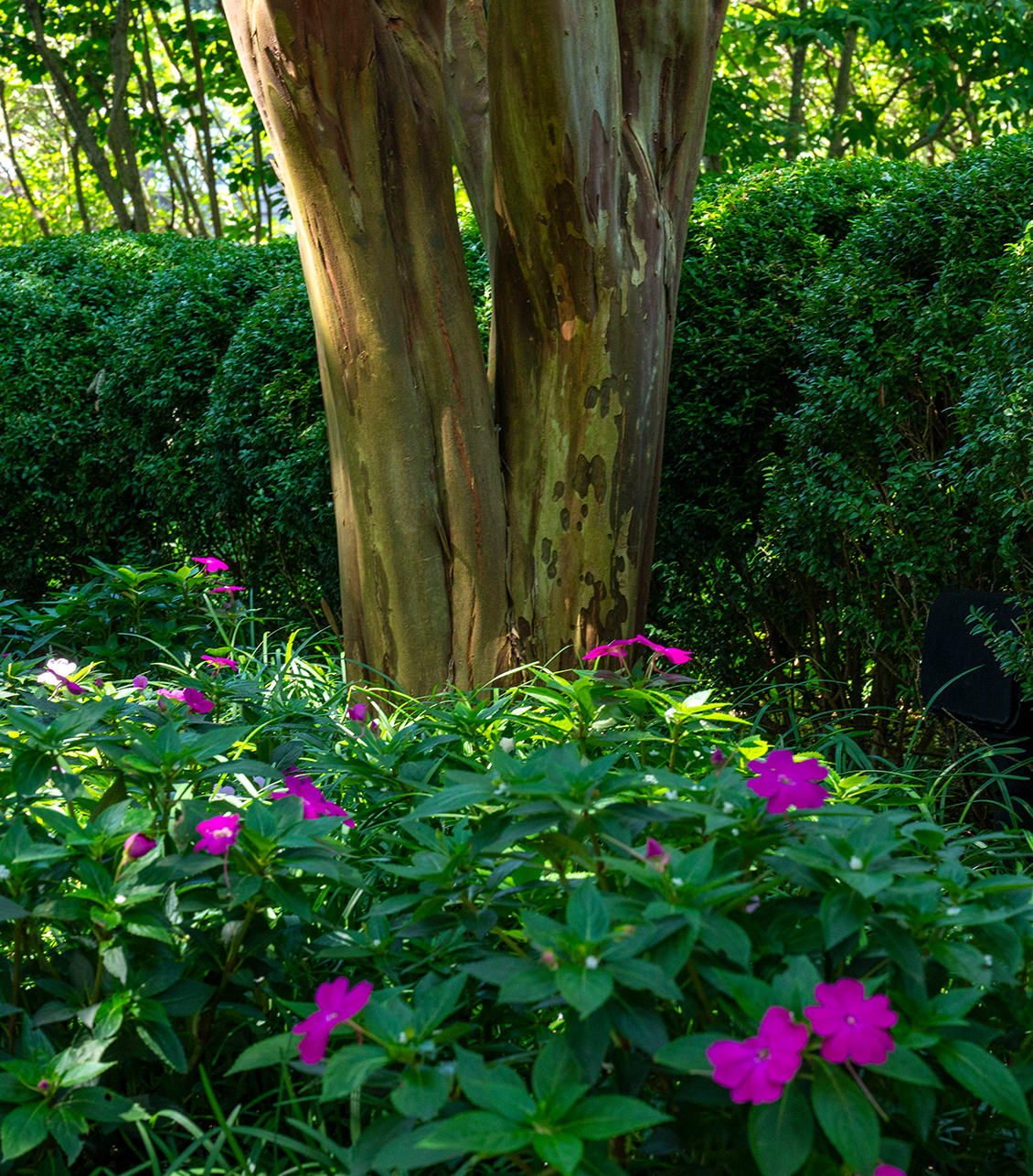 Hamptons inn offering refined dining and accommodations